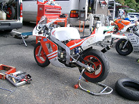 cimg8830_s.jpg