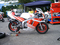 cimg8831_s.jpg