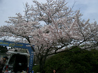 cimg9537_s.jpg
